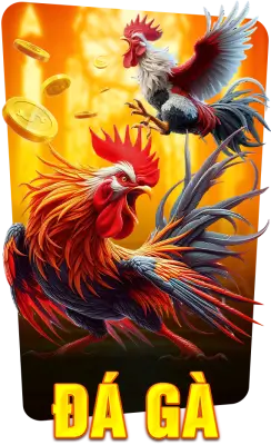 Sảnh Đá gà